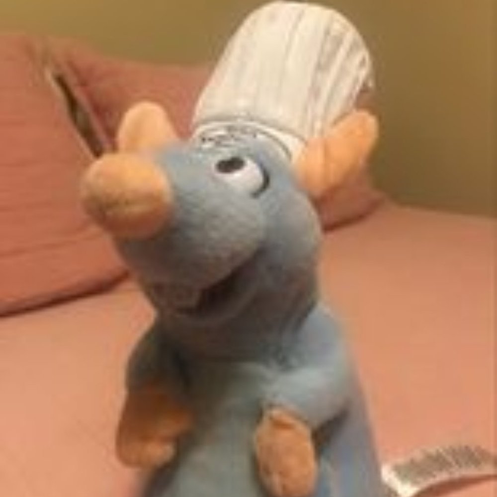 REMY the RAT doll!! Bought at the Remy ride at Disneyworld in Orlando!